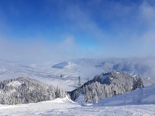 a snow covered mountain with trees and a ski lift at Hotel Altwirt in Lenggries