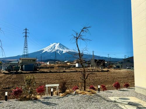 a snow covered mountain in the distance with a tree at 富士の宿燦々 in Fujiyoshida