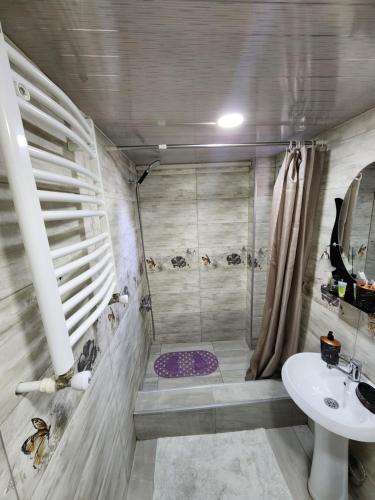 a bathroom with a shower and a sink at Hotel bereka in Mtskheta
