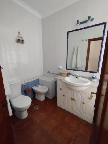 a bathroom with a toilet and a sink and a mirror at Brisa&Mar, con Posibilidad de Parking in Chipiona