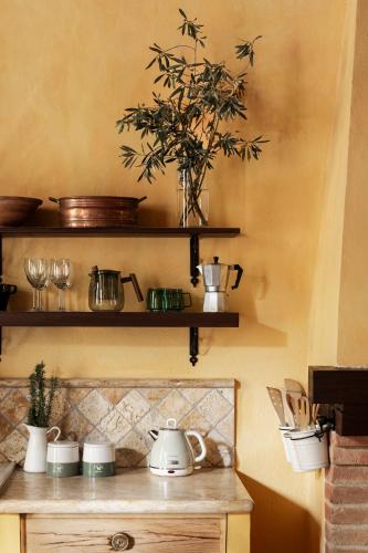 a kitchen with shelves and a tea kettle on a table at Casa Oliveto in Castelmuzio