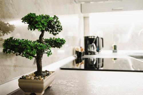 JSpot apartment