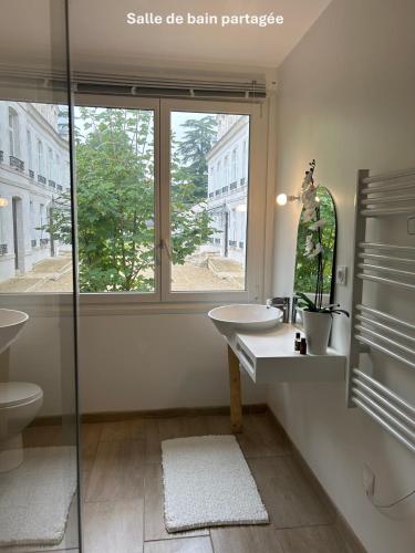 une salle de bain avec un lavabo, un miroir et une fenêtre dans l'établissement Maison, à Chaingy