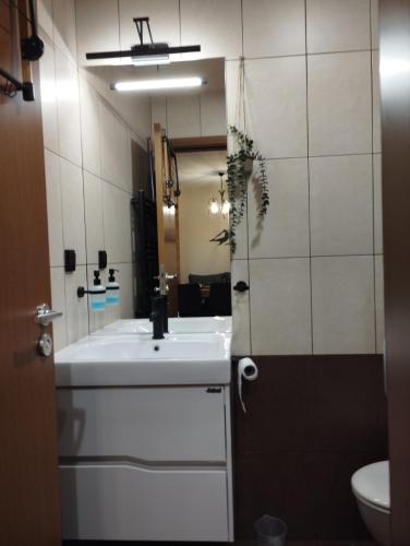 a bathroom with a white sink and a mirror at студио Е 13 in Pamporovo