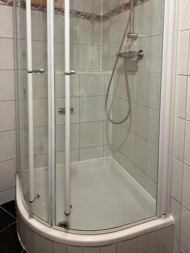 a shower with a glass door in a bathroom at Appartementgitti in Hallstatt