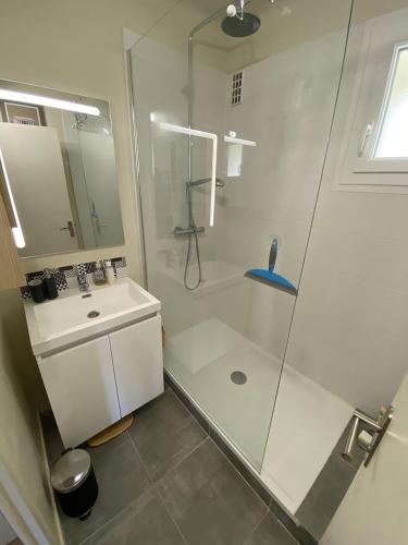 une salle de bain avec douche et lavabo dans l'établissement PROCE - Apt lumineux et cosy, vue parc de Procé, à Nantes