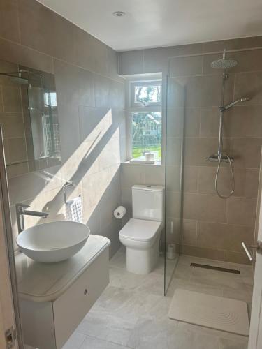 a bathroom with a sink and a toilet and a shower at The Little Fern in Oxford