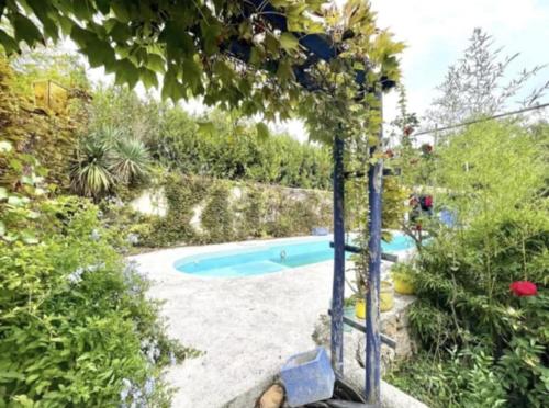 a swimming pool in the middle of a garden at La Tour in Béziers