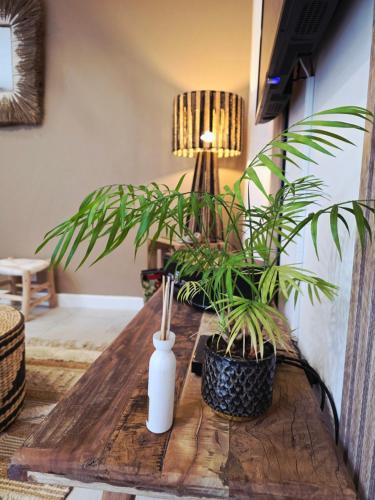 a wooden table with two plants on top of it at Boho Nest in Rosporden