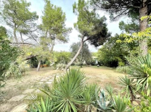 a park with trees and plants in a field at La Tour in Béziers