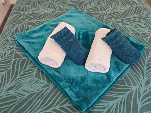 a pair of socks on a towel on a bed at Le cocon du Zoo de Beauval in Mareuil-sur-Cher