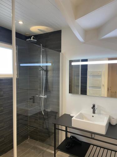 une salle de bain avec un lavabo et une douche dans l'établissement Breizh Izel, vue mer et proche centre-ville, à Roscoff