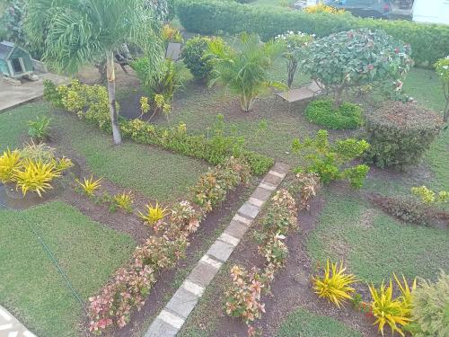 O grădină în afara Chenell#3