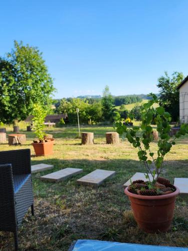 European House Of Yoga Light