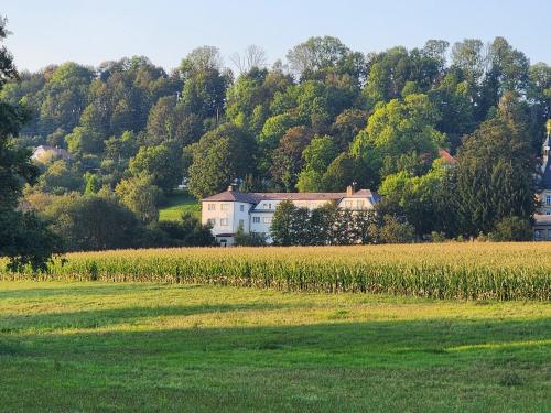 a house in a field next to a field of corn at European House Of Yoga Light in Bezděkov