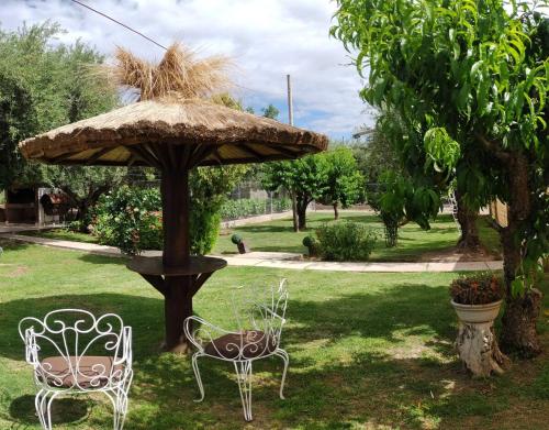 Κήπος έξω από το Cabañas Las Rosas
