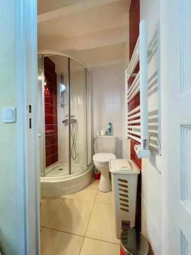 une salle de bain avec toilettes et douche dans l'établissement Au Chant des Mouettes, à Cabourg