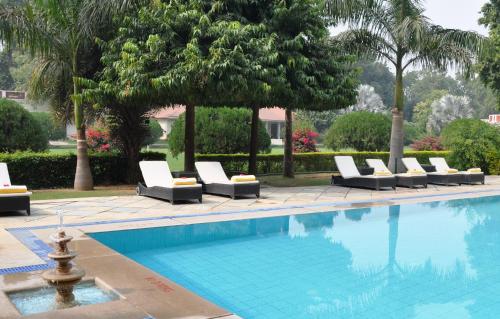 a swimming pool with lounge chairs next to a tree at Sawai Madhopur Lodge - IHCL SeleQtions in Sawāi Mādhopur