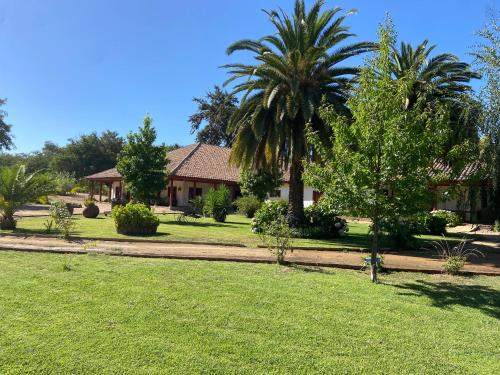 a house with palm trees in a yard at CASONA SAN PEDRO Hotel Boutique in San Javier
