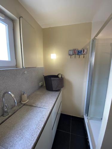 La salle de bains est pourvue d'un lavabo et d'une douche. dans l'établissement Exceptional SEA view Les Brisants Wimereux, à Wimereux