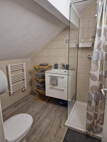 une salle de bain avec toilettes, lavabo et douche dans l'établissement Cosy F2 à Argenteuil Idéal séjour pro ou détente, à Argenteuil