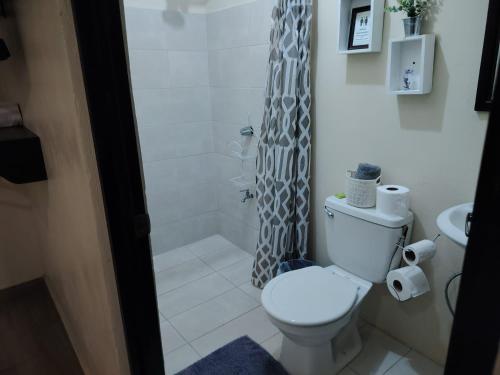 a bathroom with a toilet and a shower at Villa jr 2 Cerca del Peñon de Guacalillo, tarcoles in Tivives