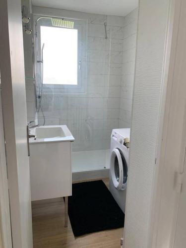 une salle de bain avec un lavabo et une machine à laver dans l'établissement Lafont, à Nantes