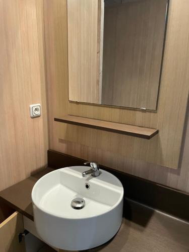 une salle de bain avec un lavabo blanc et un miroir dans l'établissement Camping La Venise Du Bocage, à Nesmy
