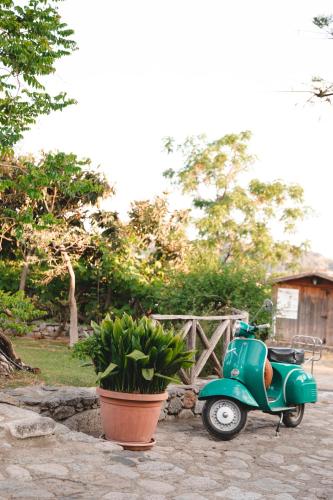 Zahrada ubytování Agriturismo Villa Vittoria