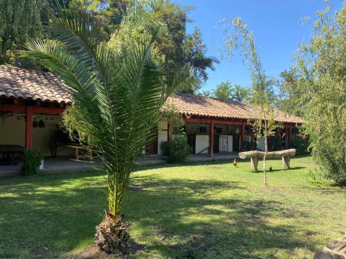 a palm tree in front of a house at CASONA SAN PEDRO Hotel Boutique in San Javier