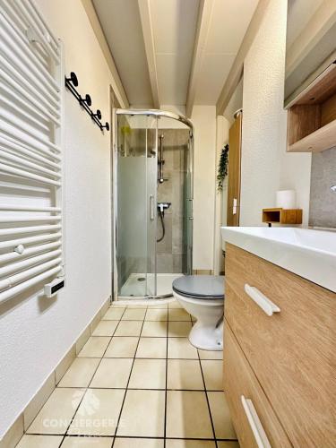 une salle de bain avec toilettes et douche en verre dans l'établissement Maison de vacances à 150m de la plage - la Loubine, à La Tremblade