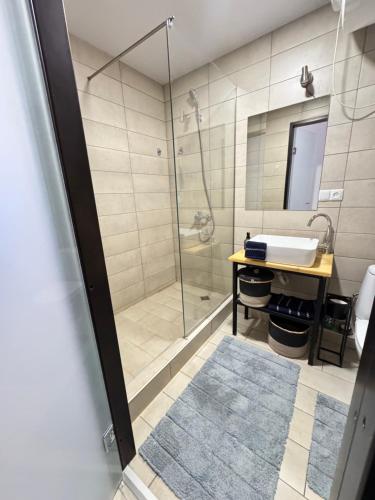 ein Badezimmer mit Dusche und Waschbecken in der Unterkunft EVIS LTD apartments Gudauri in Gudauri