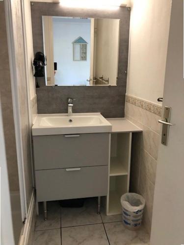 une salle de bain avec un lavabo et un miroir dans l'établissement Appt Studio LA ROCHELLE - LR100-330, à La Rochelle