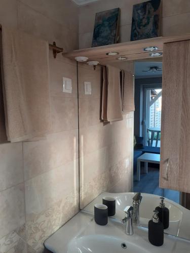 a bathroom with a sink and a mirror at Művészház Nyaraló in Békésszentandrás