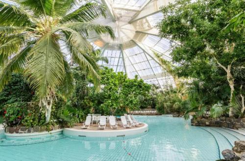 une véranda avec une piscine dans un jardin dans l'établissement Maison Cosy Hypercentre -Gare 5', à Verneuil-sur-Avre