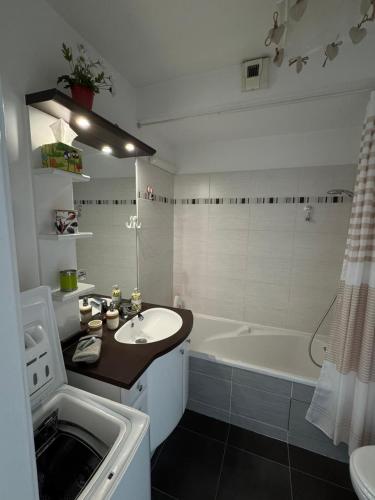 une salle de bain avec une baignoire et un lavabo et une baignoire dans l'établissement Toulouse Marengo-Gare Matabiau - Médiathèque-Allées Jean Jaurès proche ligne B Parking privé sécurisé gratuitprivé, à Toulouse