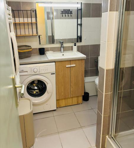 un bagno con lavatrice e lavandino di Lou pitcho apartament ad Avignone