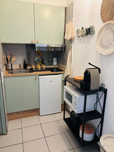 une petite cuisine avec un évier et un micro-ondes dans l'établissement Lou pitcho apartament, à Avignon