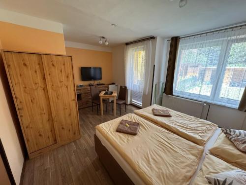 una camera con letto, scrivania e TV di Penzion Pavel a Karlovy Vary