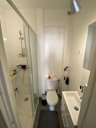une salle de bain avec une douche, des toilettes et un lavabo dans l'établissement Beautiful Parisian apartment, 15 min from Châtelet, à Clichy