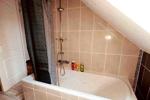 La salle de bains est pourvue d'une douche et d'une baignoire. dans l'établissement Le Libergier, à Reims