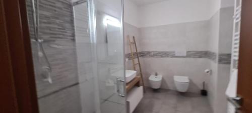a bathroom with a shower and a toilet and a sink at Casa Faét in Adro