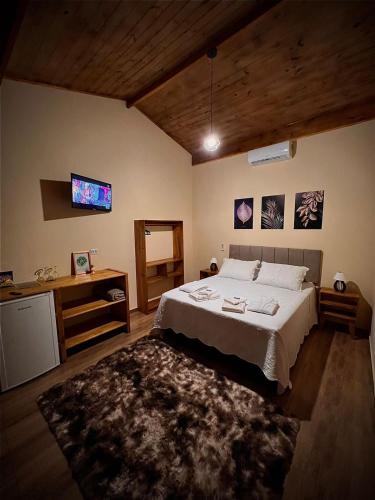 a bedroom with a bed and a tv on the wall at Hospedaria Paiol in São Bento do Sapucaí