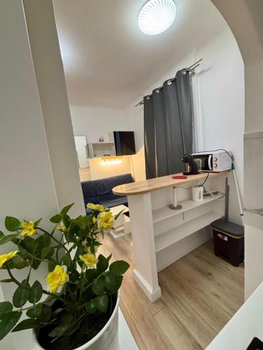 un salon avec une table et une plante en pot dans l'établissement Studio Convention Porte de Versailles, à Paris