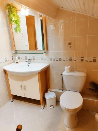 une salle de bain avec toilettes, lavabo et miroir dans l'établissement Bel appartement proche Saint Lary Soulan, à Vielle-Aure