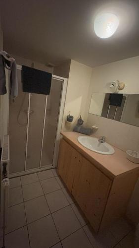 une salle de bain avec un lavabo et une douche dans l'établissement Auberge du Ruxelier J&D, à Cheniménil