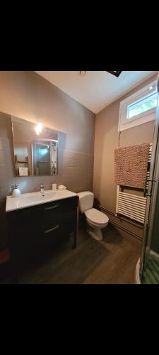 une salle de bain avec un lavabo, des toilettes et un miroir dans l'établissement appartement cosy et confortable, à Tulle