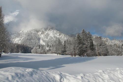 a snow covered field with trees and a mountain at Haus Mangeng in Vandans