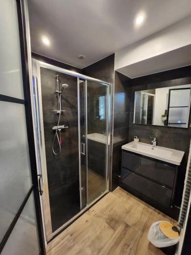 une salle de bain avec douche et lavabo dans l'établissement Madgic Loft, à Épinal