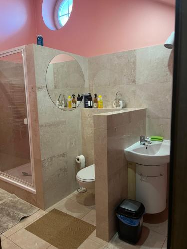 a bathroom with a toilet and a sink and a shower at Noclegi Opole-Chmielowice Apartament C in Opole